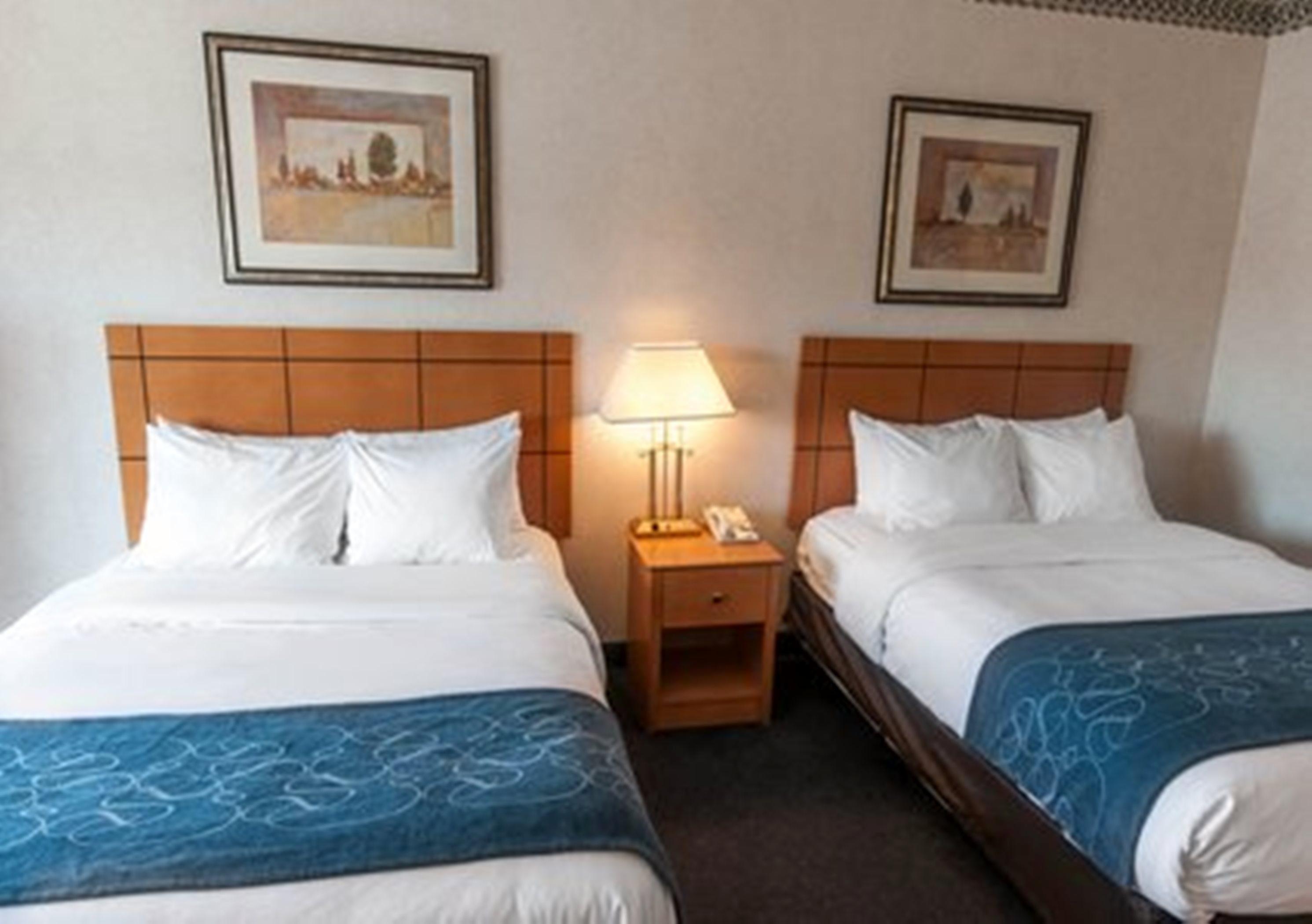 Comfort Suites University Las Cruces Chambre photo